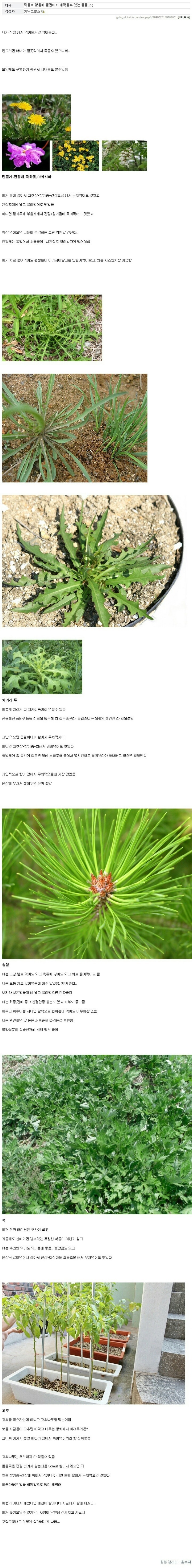 만원으로 한달을 보낼 수 있는 꿀팁 (눈물없인 보기어려움) | 인스티즈