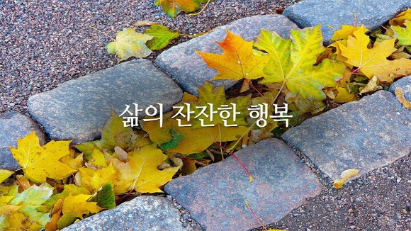 행복 이미지