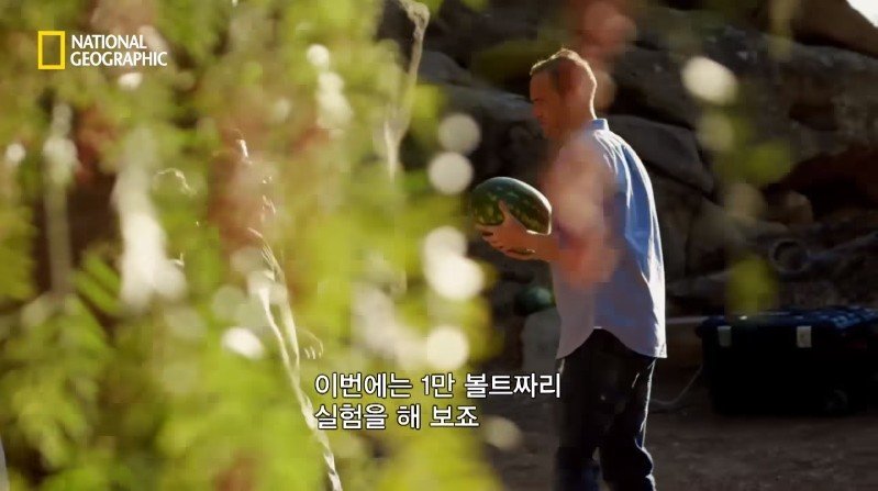 수박 안에 1만 볼트를 내보내면 생기는 일 | 인스티즈