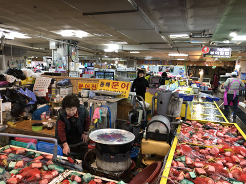 동해문어 이미지