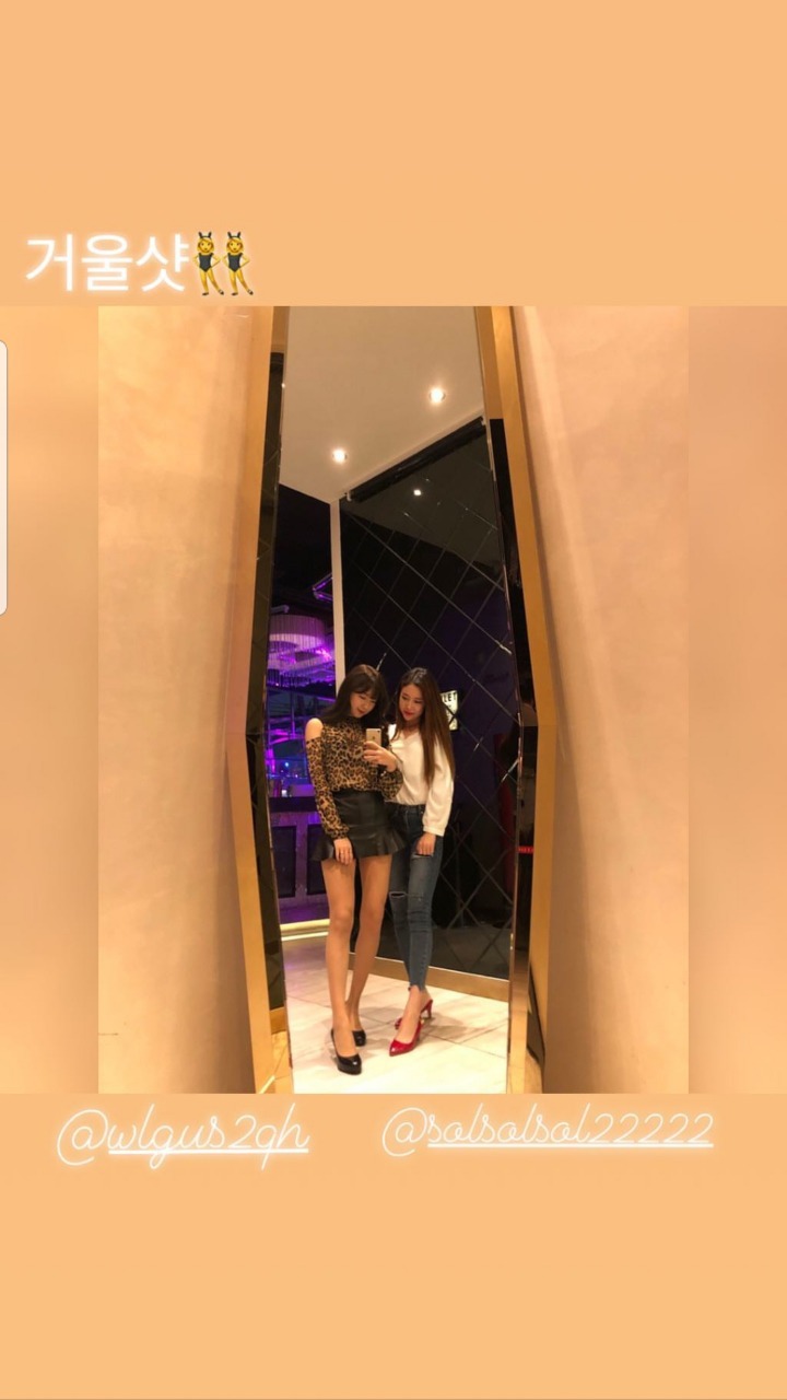 안지현 등 치어리더 | 인스티즈