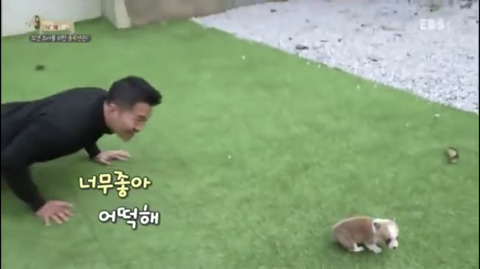 반려견 키우는 사람들은 99%가 안다는 그 사람.jpg | 인스티즈