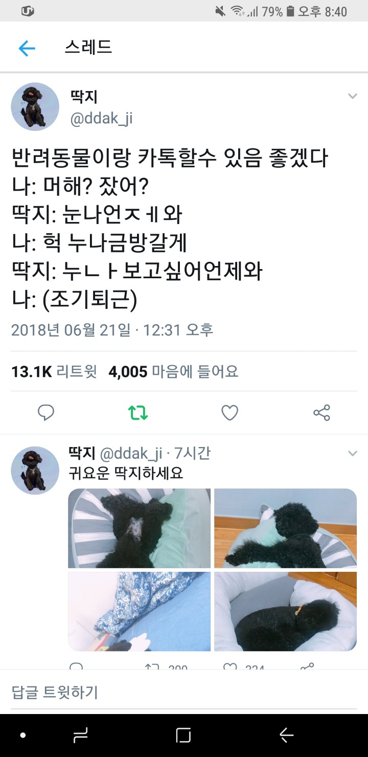 반려동물이랑 카톡할 수 있다면.twt | 인스티즈