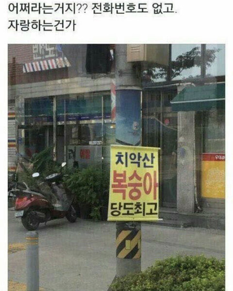 뭐지 광고인가 | 인스티즈