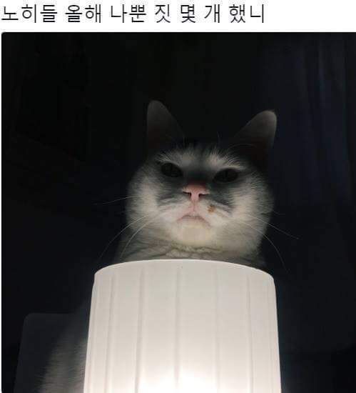 나는야 저승에서 온 고양이.jpg | 인스티즈