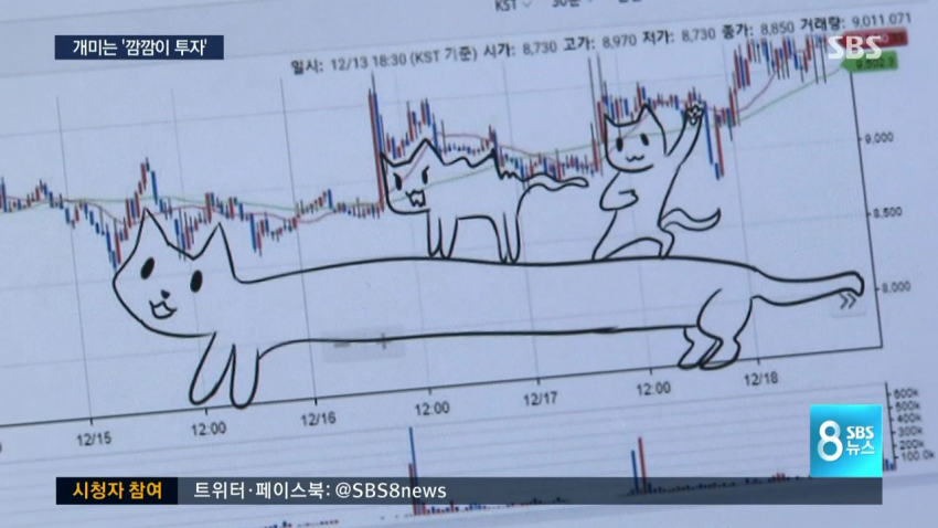 SBS 뉴스 기자가 비트코인 갤에서 검색한 걸 유추하는 디씨의 코난 | 인스티즈