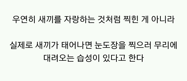 수달 새끼자랑 | 인스티즈