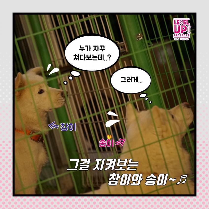 레드벨벳 레벨업툰 1화 | 인스티즈
