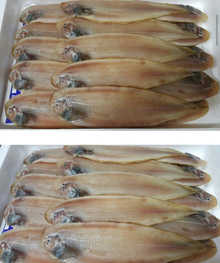 서천박대 이미지