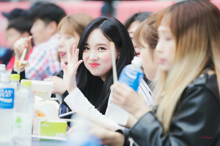 트와이스 팬들의 최대 난제.......jpgif | 인스티즈