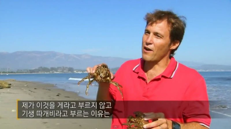 강제 성전환당하는 게..JPG | 인스티즈