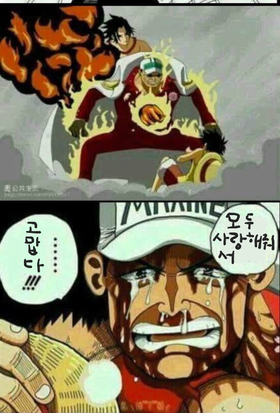원피스)만약 루피가 해적 말고 해군에 입대했다면?.jpg | 인스티즈
