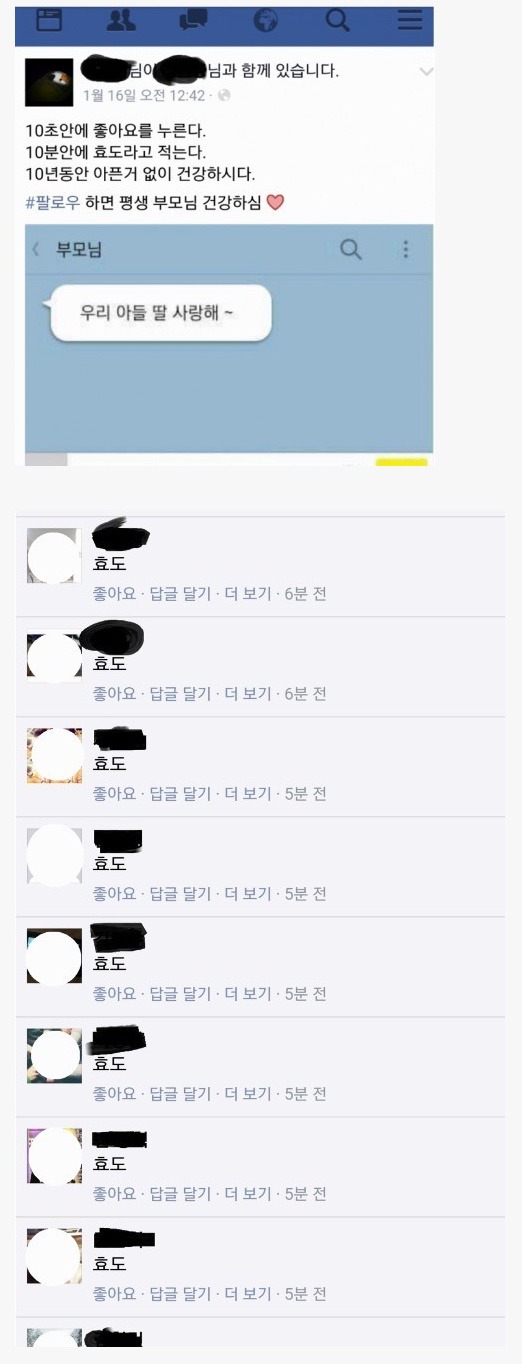 페이스북 효자 효녀 레전드.jpg | 인스티즈