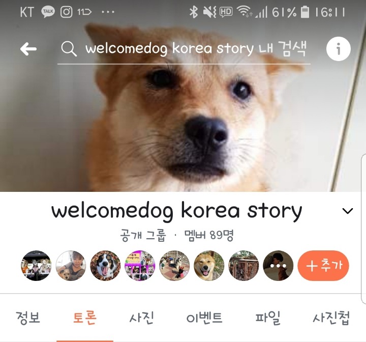 웰컴독 이미지