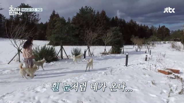 [효리네민박2] 박보검을 본 이효리 반응.jpg | 인스티즈