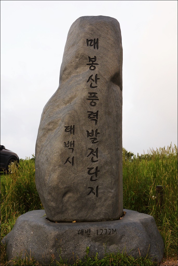 태백고냉지 이미지