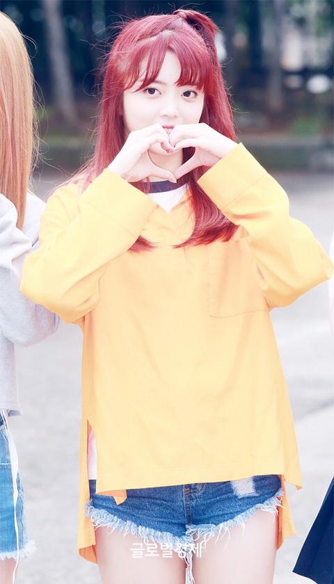 수연 이미지