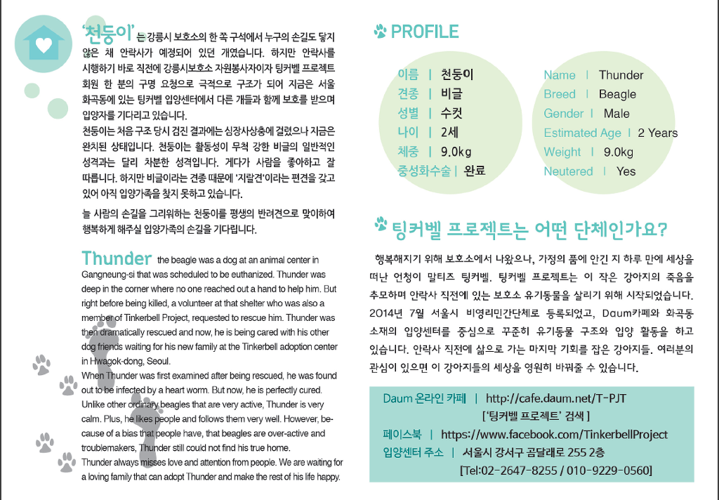마리의디자인 이미지