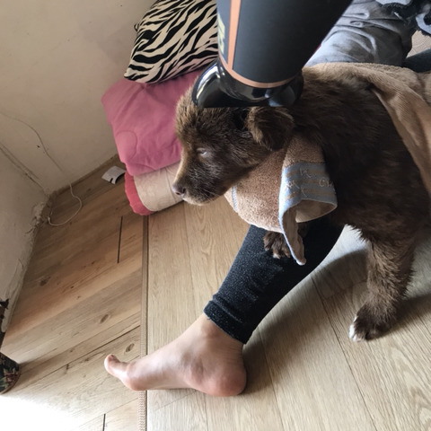 휘게짐 이미지