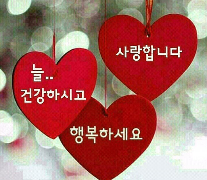 되지가 이미지