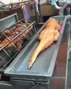 대륙의 악어고기.gif | 인스티즈