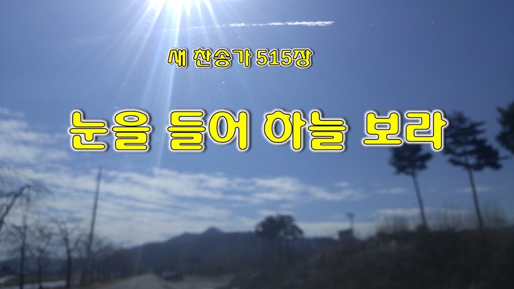 하늘보라 이미지