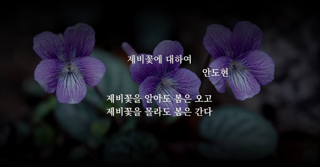 이아 이미지