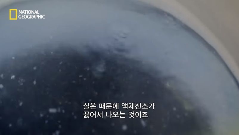 다이아몬드 진품과 모조품을 구분 실험.jpg | 인스티즈