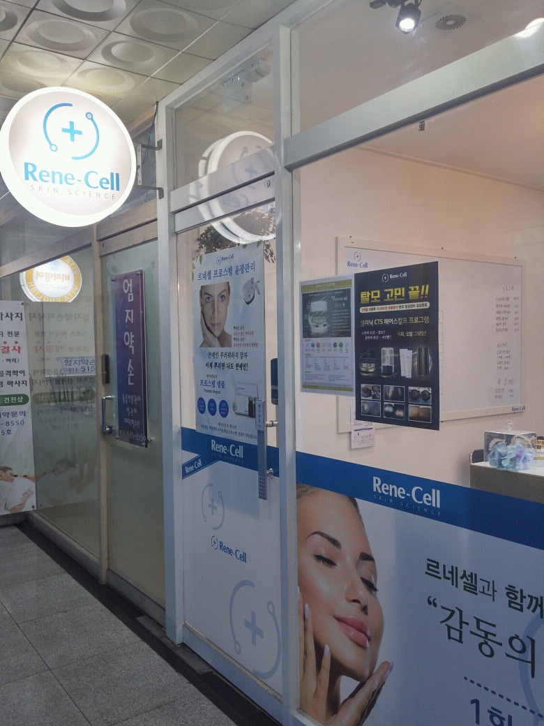 르네셀 이미지