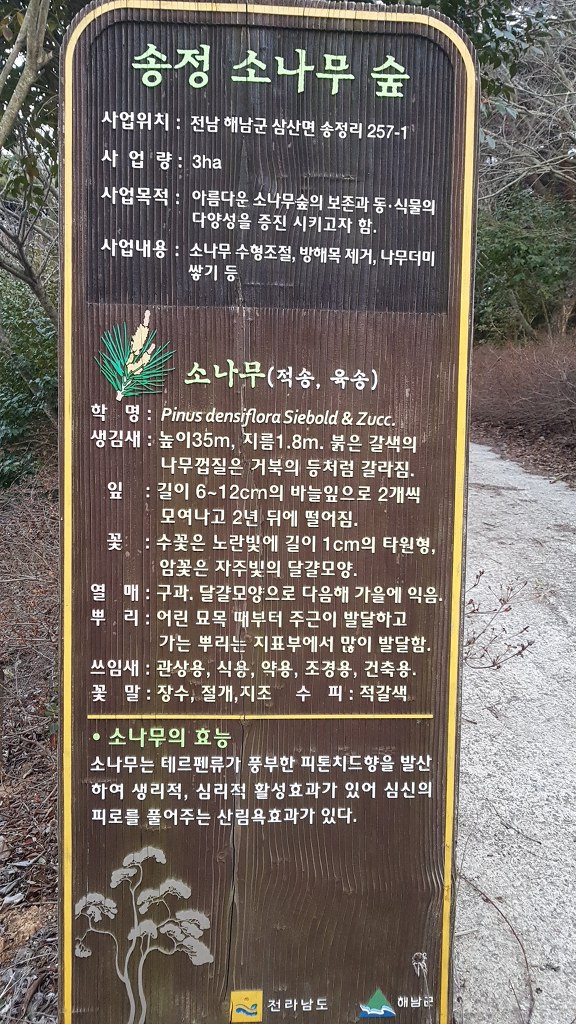 청솔복집 이미지