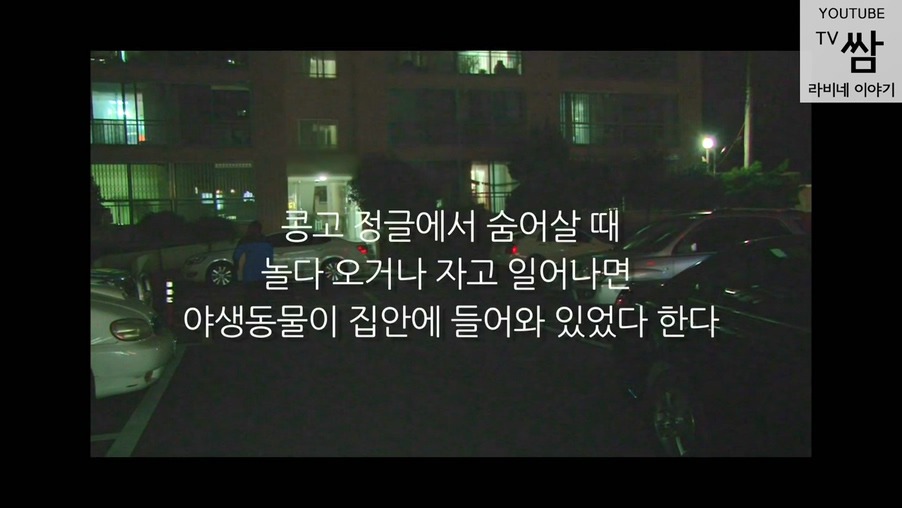 콩고 왕자 라비의 한국행.jpg | 인스티즈