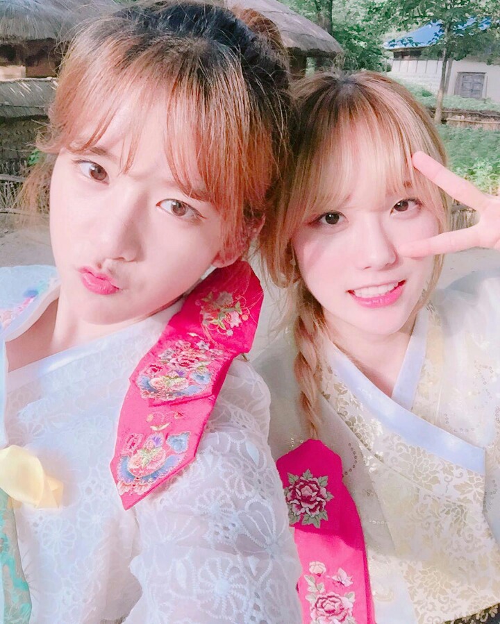 랑단 이미지