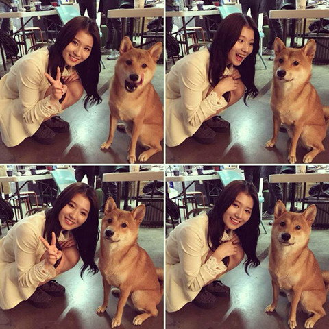 명품사옷수선 이미지