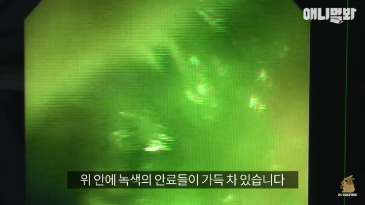 길고양이 학대하는 방법도 이젠 | 인스티즈