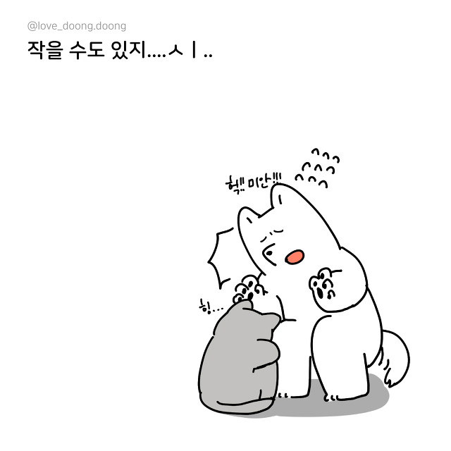 키 작은 애들 특징.jpg | 인스티즈