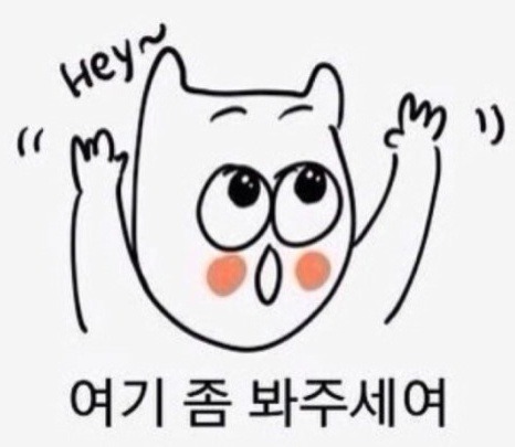 지방선거가 다가오면서 여론조사 가져올 때 알아야할 주의사항 | 인스티즈