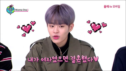 아미고 이미지