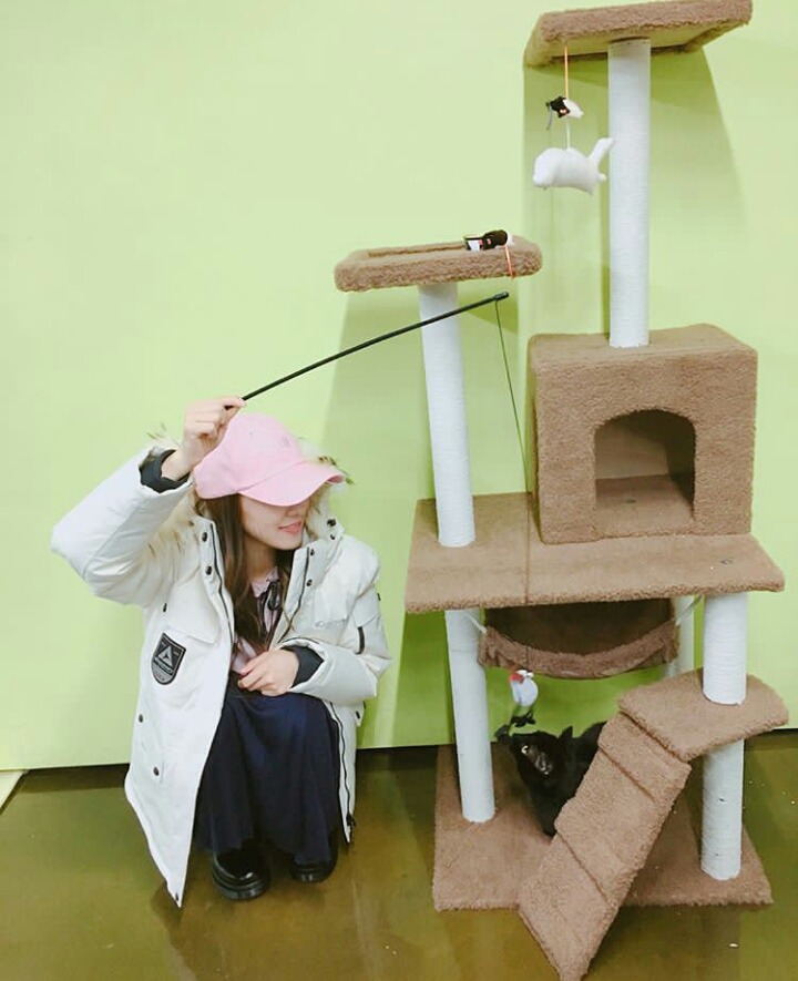 오늘자 이세영 인스타 업뎃 | 인스티즈