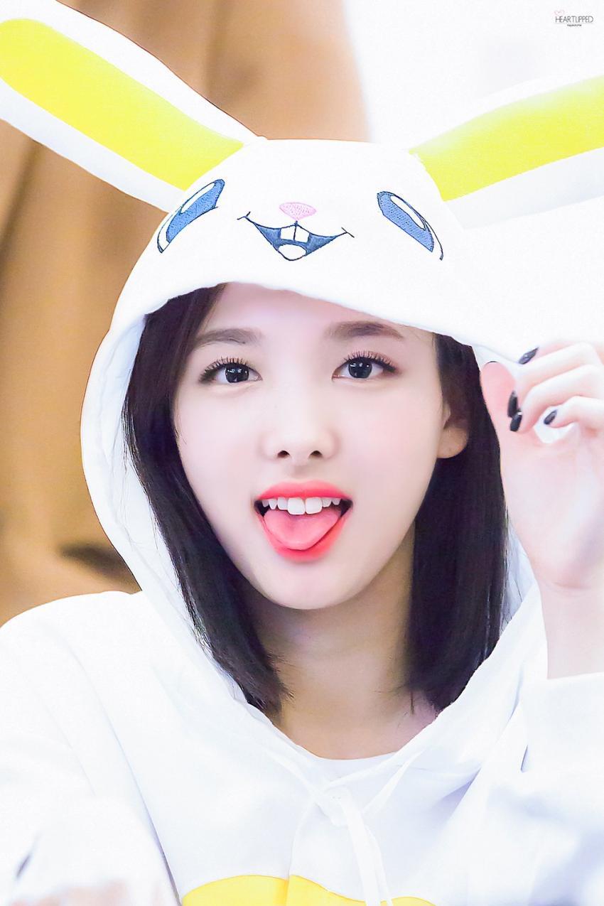 트와이스의 인간토끼 | 인스티즈