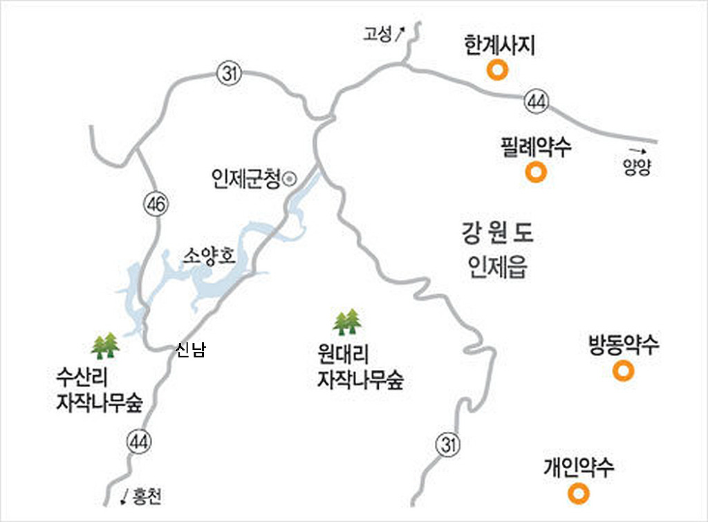 인제자연학교캠핑장 이미지
